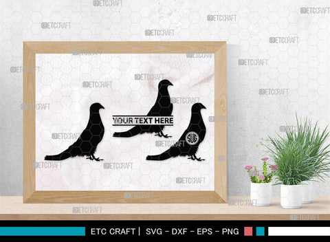 Pigeon Monogram, Pigeon Silhouette, Pigeon SVG, Pigeon, Pet Bird Svg, Dove Svg, Bird Svg, SB00304 SVG ETC Craft 