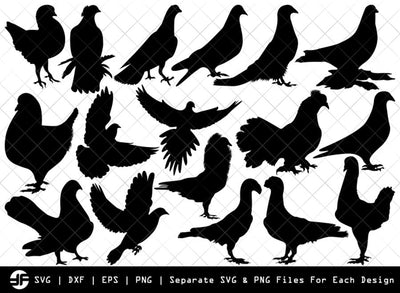 Pigeon SVG | Pigeon Bird Silhouette Bundle | SVG Cut File SVG ETC Craft 