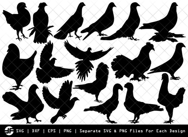 Pigeon SVG | Pigeon Bird Silhouette Bundle | SVG Cut File SVG ETC Craft 
