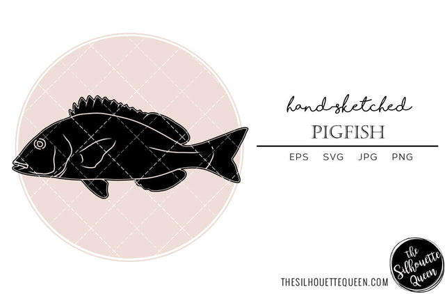 Pigfish Hand sketched, hand drawn vector clipart SVG Loveleen Kaur 