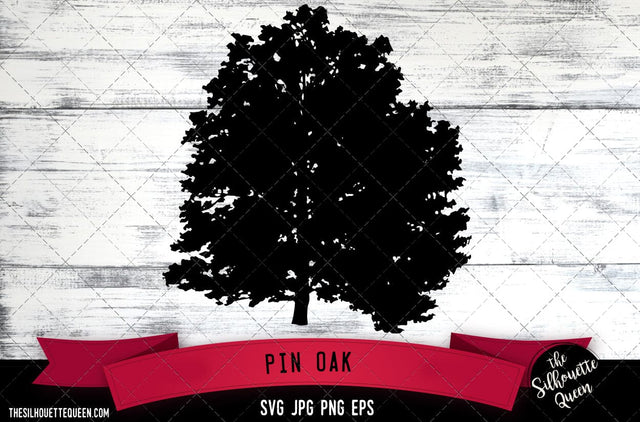 Pin Oak SVG -Vector Art Commercial & Personal Use- Cricut,Silhouette,Cameo,Vinyl Cut SVG Loveleen Kaur 