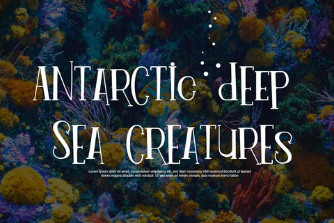 Pineapple Margaritoes Font JH-CreativeFont 