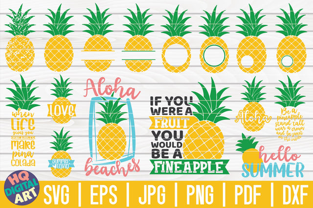 Pineapple SVG Bundle | 16 designs SVG HQDigitalArt 
