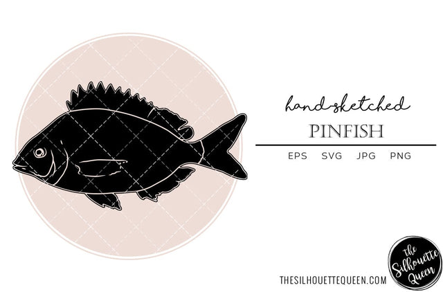 Pinfish Hand sketched, hand drawn vector clipart SVG Loveleen Kaur 