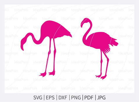 Pink Flamingo Cut file, Flamingo monogram frame, Flamingo svg, Flamingo Svg Bundle, Flamingo Monogram Svg, Pink Flamingo svg, Silhouette SVG Dinvect 