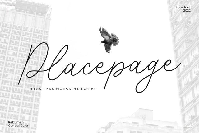 Placepage Font Allouse.Studio 