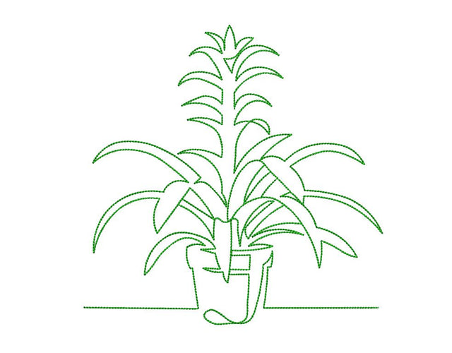 Plant in a Pot 8 Machine Embroidery Design Embroidery/Applique DESIGNS Angie 