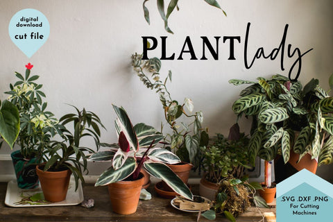 Plant Lady SVG Cut File - Gardener SVG Lettershapes 