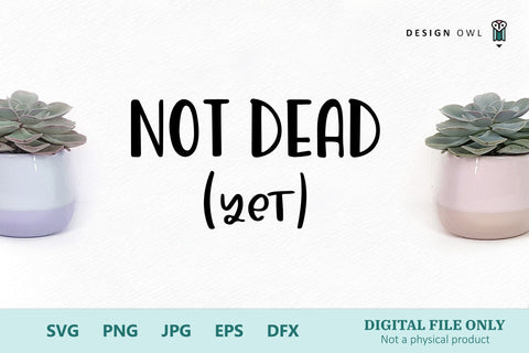 Plant Pot SVG File - Not Dead SVG Design Owl 