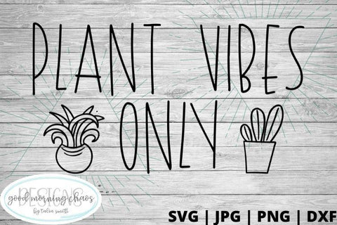 Plant vibes only SVG Good Morning Chaos 