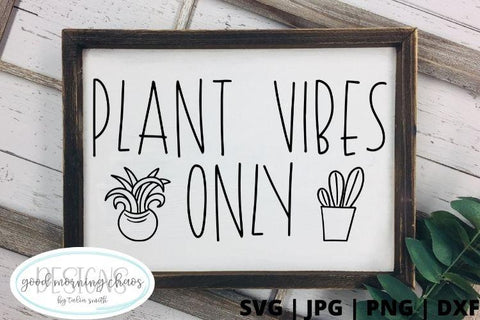 Plant vibes only SVG Good Morning Chaos 