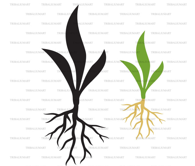Plant with roots SVG TribaliumArtSF 