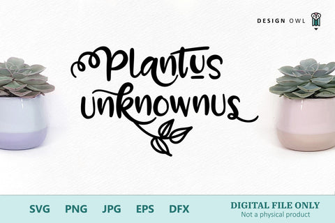 Plantus Unknownus - Plant pot SVG file SVG Design Owl 