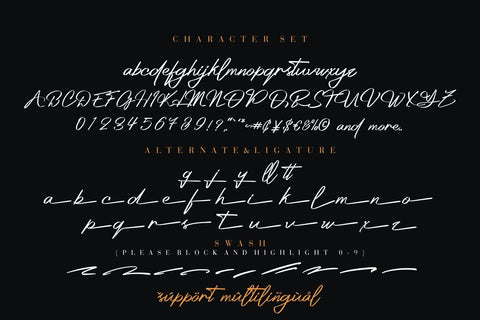 Platinum Signature Font Hans Co 