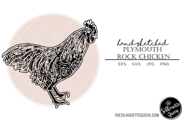 Plymouth Rock Chicken Sketch Vector SVG Loveleen Kaur 