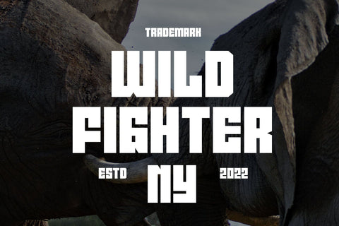 Pocky Block Font Arterfak Project 