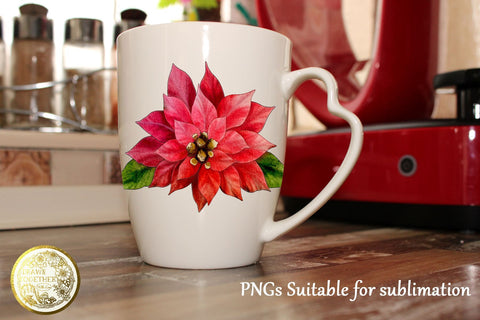 Poinsettia and Eucalyptus - Single line Design| Digi Stamp |Illustration | Bundle Sketch DESIGN DrawnTogether with love 