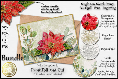 Poinsettia and Eucalyptus - Single line Design| Digi Stamp |Illustration | Bundle Sketch DESIGN DrawnTogether with love 