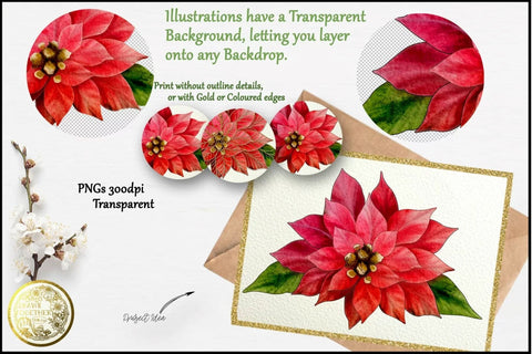 Poinsettia and Eucalyptus - Single line Design| Digi Stamp |Illustration | Bundle Sketch DESIGN DrawnTogether with love 
