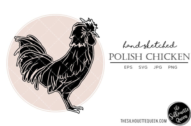 Polish Chicken Sketch Vector SVG Loveleen Kaur 