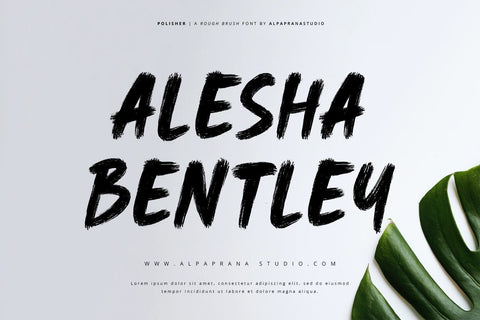 Polisher - Rough Brush Font Font Alpaprana Studio 