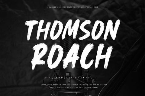 Polisher - Rough Brush Font Font Alpaprana Studio 