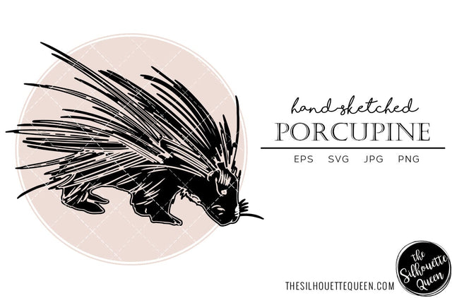Porcupine Sketch Vector SVG Loveleen Kaur 