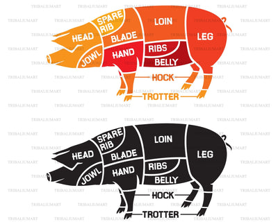 Pork meat cuts - butcher diagram SVG TribaliumArtSF 