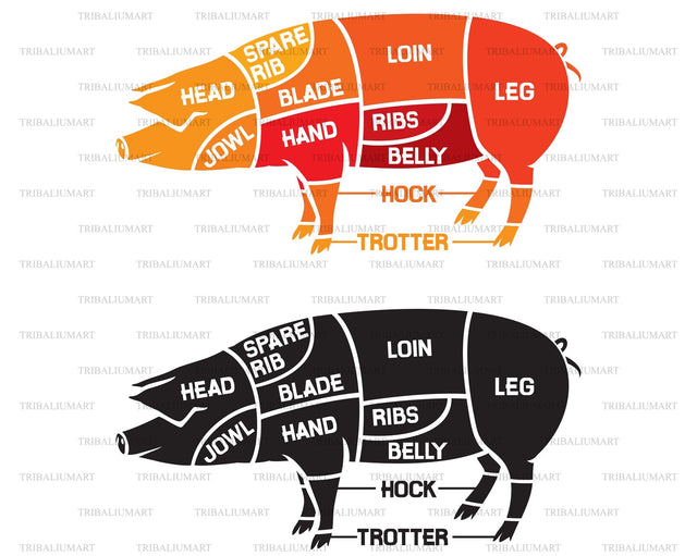 Pork meat cuts - butcher diagram SVG TribaliumArtSF 