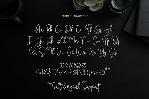 Portsmooth Font Abo Daniel Studio 