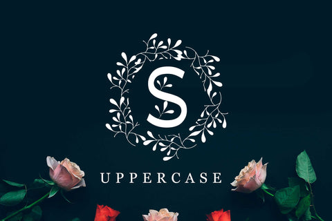 Premium Monogram Font LetterdayStudio 