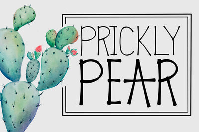 Prickly Pear Font Kitaleigh 
