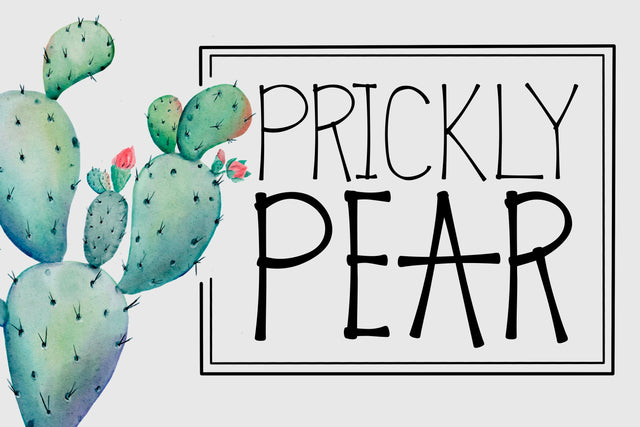 Prickly Pear Font Kitaleigh 