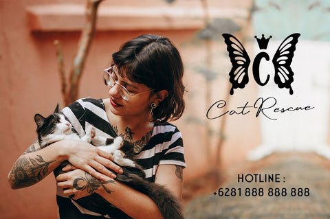 Princess Butterfly Monogram Font Illushvara Design 