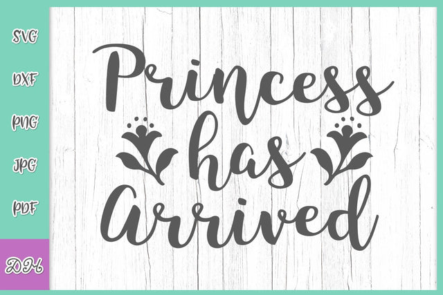 Princess has Arrived Funny Newborn Baby Girl Coming Home Outfit Sign Saying Take Home Little SVG DXF PNG PDf JPG SVG Digitals by Hanna 