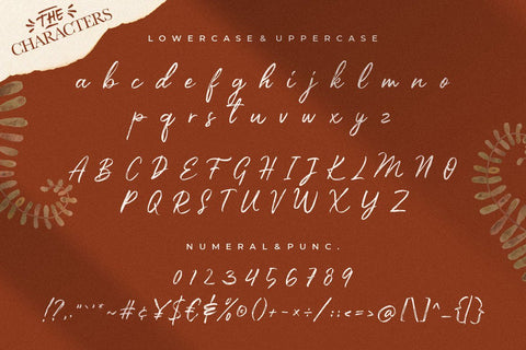 Priscilla Fancy Brush Typeface Font Creatype Studio 