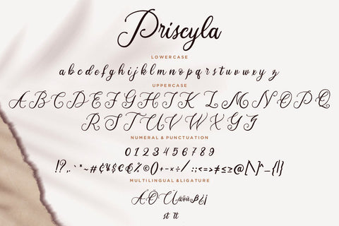 Priscyla Luxury Script Font Creatype Studio 