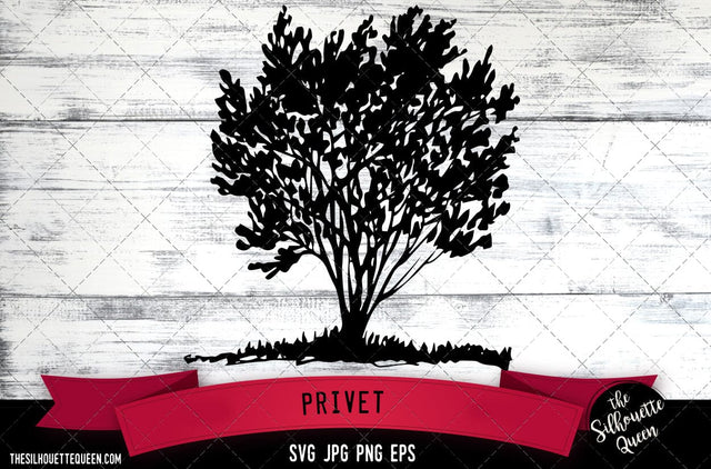 Privet SVG -Vector Art Commercial & Personal Use- Cricut,Silhouette,Cameo,Vinyl Cut SVG Loveleen Kaur 