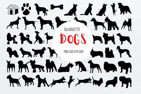 Procreate Megabundle | Brushe Set SVG SvgOcean 