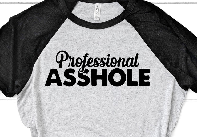 Professional Asshole Adult SVG Design SVG Crafting After Dark 