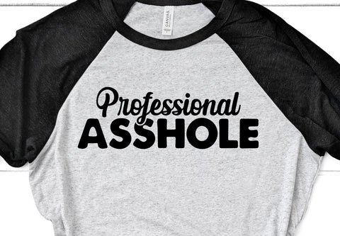 Professional Asshole Adult SVG Design SVG Crafting After Dark 