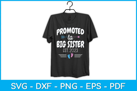 Promoted To Big Sister 2023 To Be Pregnancy Svg Design SVG artprintfile 
