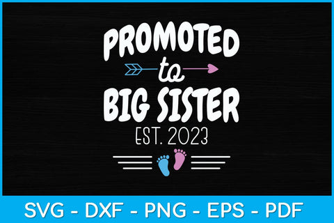 Promoted To Big Sister 2023 To Be Pregnancy Svg Design SVG artprintfile 