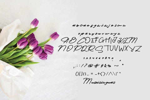 Provincia Font goodigital_13 