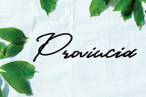 Provincia Font goodigital_13 