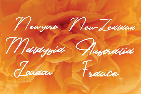 Provincia Font goodigital_13 