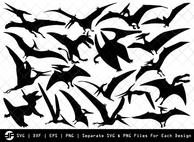Pteranodon SVG | Animal SVG | Silhouette Bundle | Cut File SVG ETC Craft 