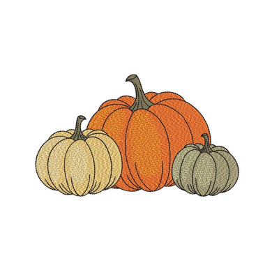 Pumpkin Embroidery Design, Autumn Embroidery File, Thanksgiving Embroidery Design, 5 sizes, Instant Download Embroidery/Applique DESIGNS Nino Nadaraia 