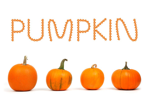 Pumpkin Halloween Font Font ampersand 