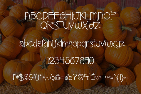 Pumpkin Patch Font Kitaleigh 